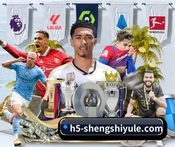 盛世娱乐 APP