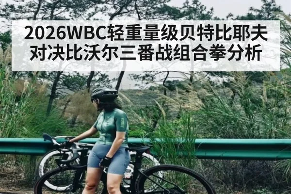 2026WBC轻重量级贝特比耶夫对决比沃尔三番战组合拳分析